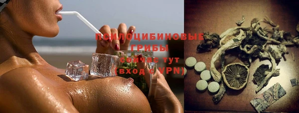 стафф Алексеевка